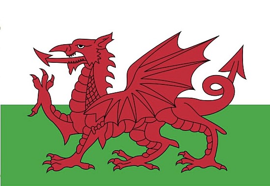 Northern NSW Welsh Show 2025